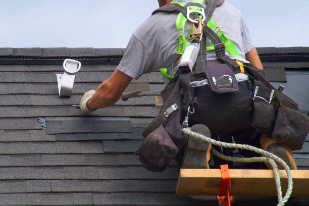 Best Roof Gutter Cleaning  in De Smet, SD