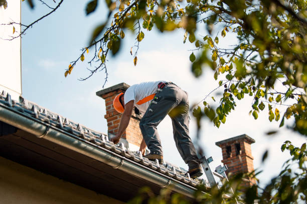 Best Local Roofing Companies  in De Smet, SD